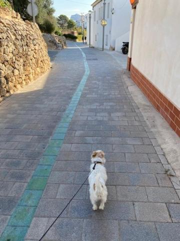 Altea Beachgate - Acceso Privado A La Playa Zewnętrze zdjęcie